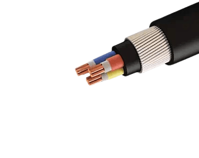 Products Img5 Removebg Preview